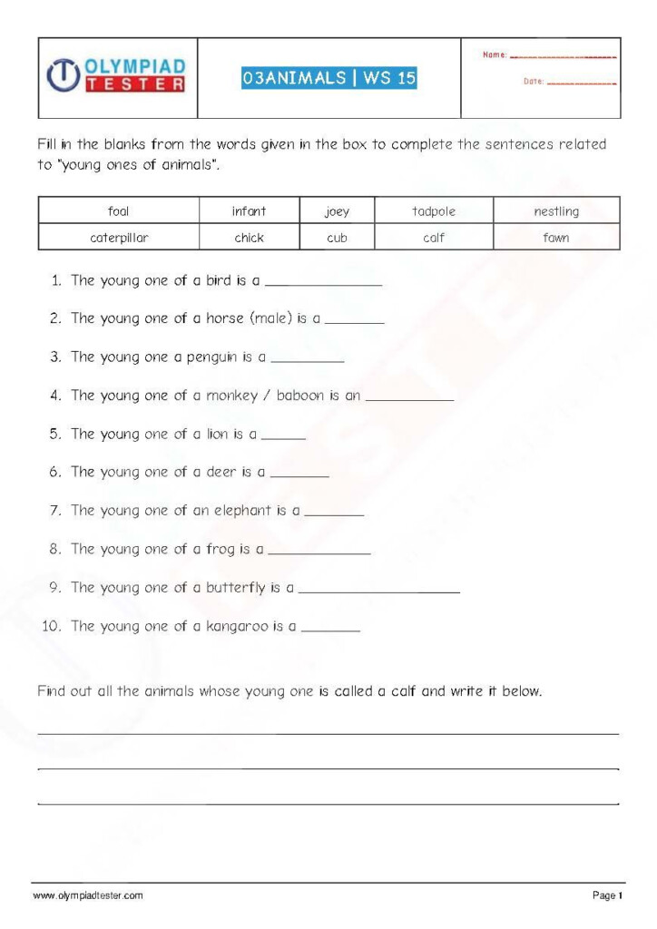 National Science Olympiad NSO Class 3 PDF Worksheet On Chapter Animals 