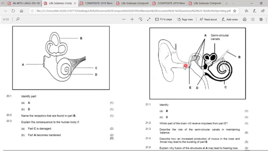 Nervous Co ordination Questions On The Ear Grade 12 Life Science YouTube