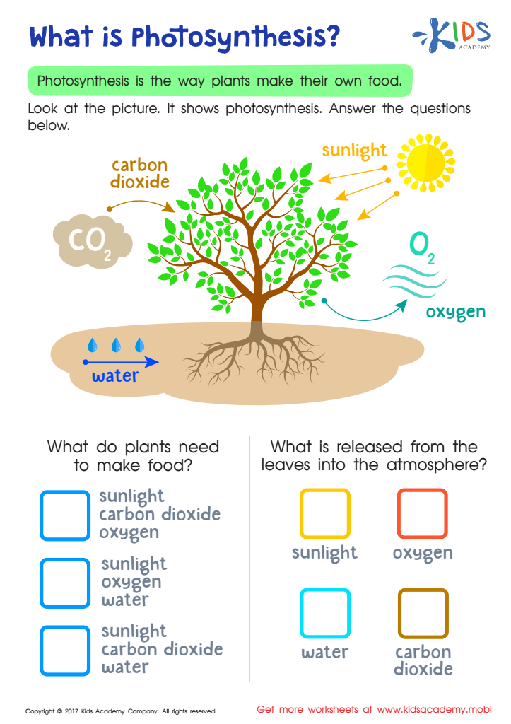 Photosynthesis Worksheets K5 Learning Photosynthesis Online Activity ...