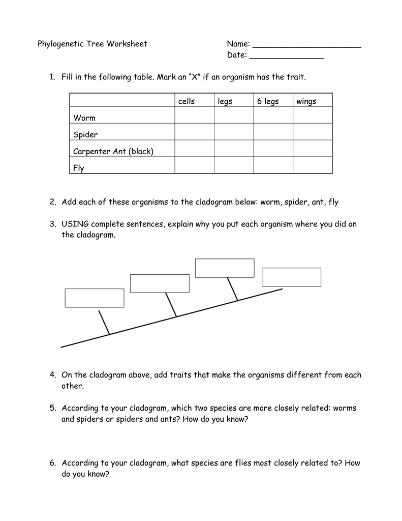 Phylogenetic Tree Practice Worksheets With Answers