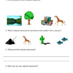 Planets Of The Solar System Worksheet Unit 1 Life Cycle Of A