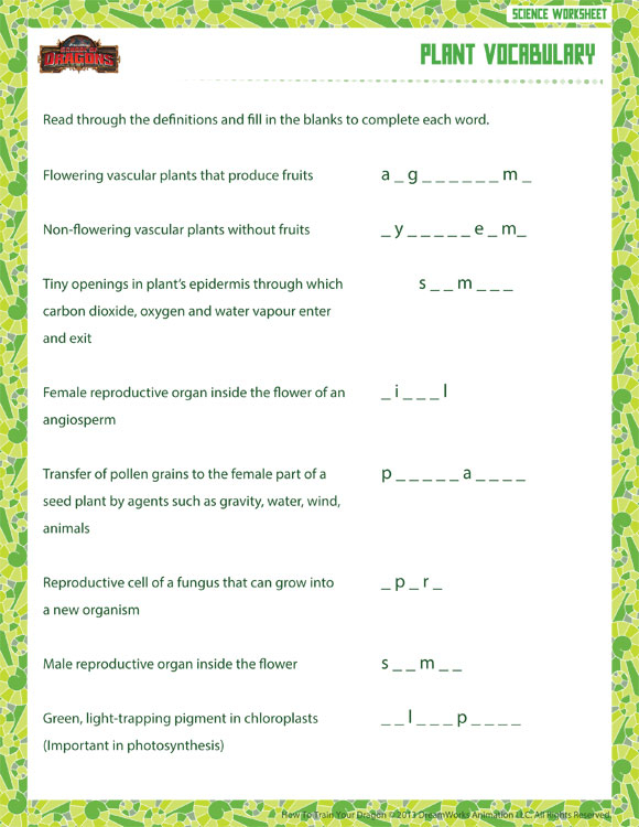 Plant Vocabulary View 6th Grade Life Science Worksheet SoD