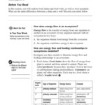 Practice Energy Flow 1 Worksheet Answers It s Not Rocket Science