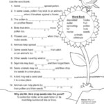 Printables Third Grade Science Worksheets Lemonlilyfestival Science