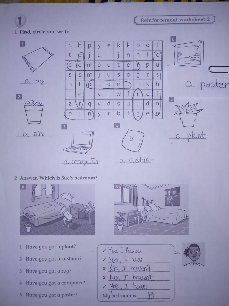 Resources4myclass Reinforcement Worksheet