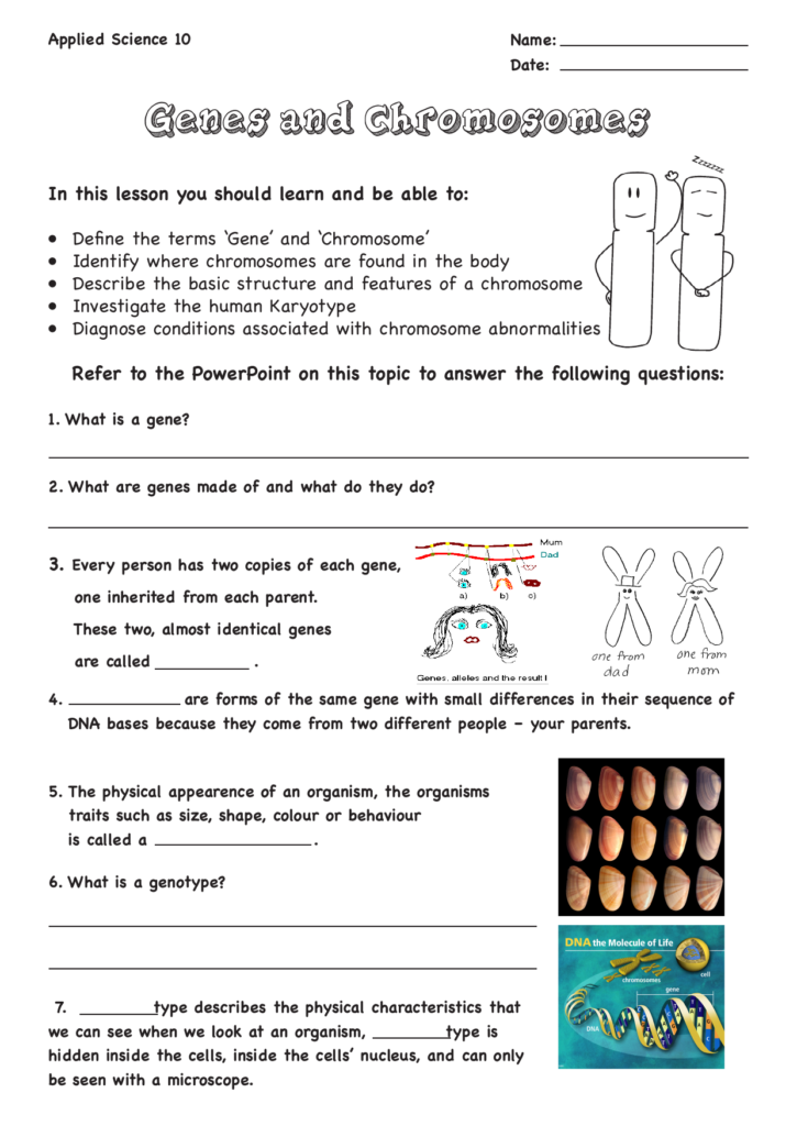 Science 10 Microscope Worksheet Answers Micropedia