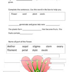 Science Review Grade 4 Worksheet Grade 4 Science Worksheets Pdf