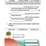 Science Review Online Pdf Exercise For 4th Grade