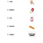Science Tools Worksheet For 2nd
