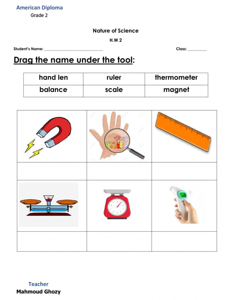  Science Tools Worksheet Free Download Goodimg co