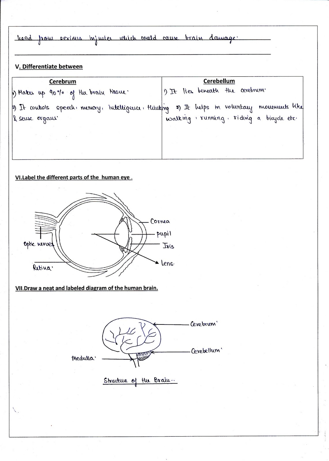 Science Worksheets For Grade 5 Light And Shadow Db Excelcom Birla 