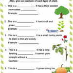 Science Worksheets Grade 2 Plants Science Worksheets 2 Grade Plants