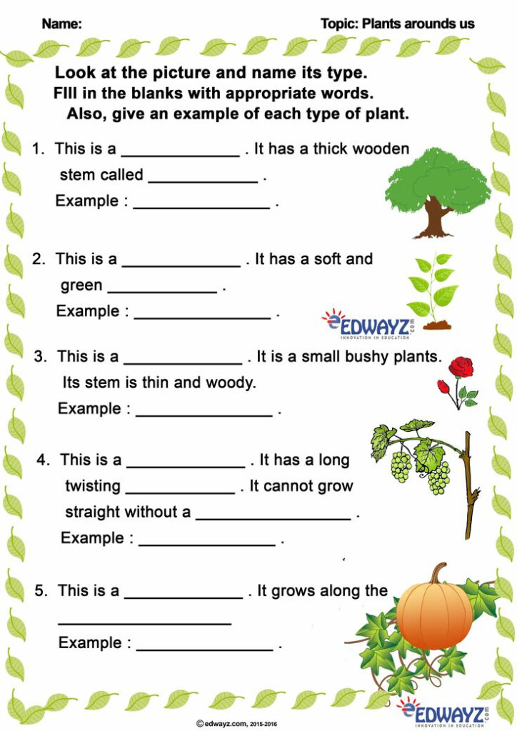 Science Worksheets Grade 2 Plants Science Worksheets 2 Grade Plants 