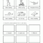 SCIENCE YEAR 2 Worksheets