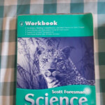 Scott Foresman Science 6th Grade Workbook EBay