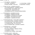 Skills Worksheet Critical Thinking Analogies Answer Key Db excel