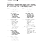 Skills Worksheet Critical Thinking Analogies Environmental Science Db