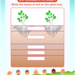 Soil Worksheets For Grade 3 Download Free Printables