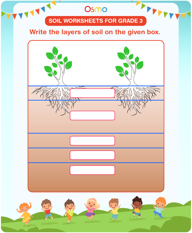 Soil Worksheets For Grade 3 Download Free Printables