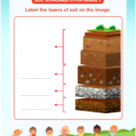 Soil Worksheets For Grade 3 Download Free Printables