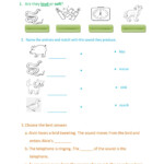 Sound Worksheet