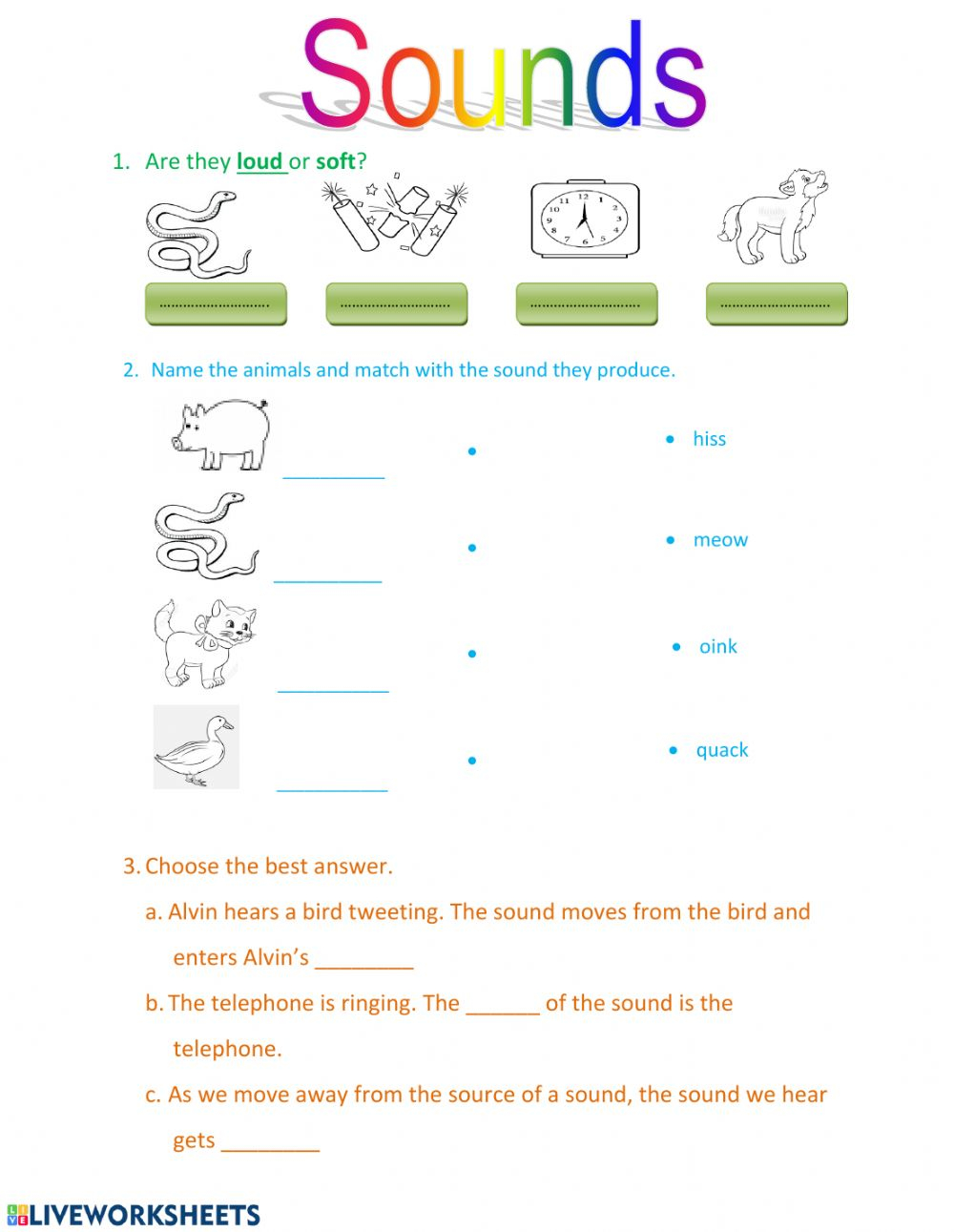 Sound Worksheet