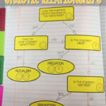 Symbiotic Relationships Worksheet Answers Stem Ecosystem Relationships