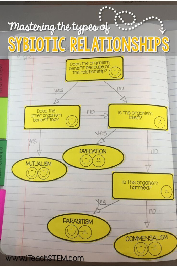 Symbiotic Relationships Worksheet Answers Stem Ecosystem Relationships 