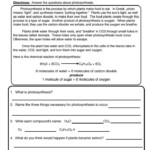 Teach Child How To Read 7th Grade Science Photosynthesis Worksheet Answers