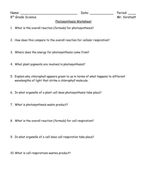 Teach Child How To Read 7th Grade Science Photosynthesis Worksheet Answers