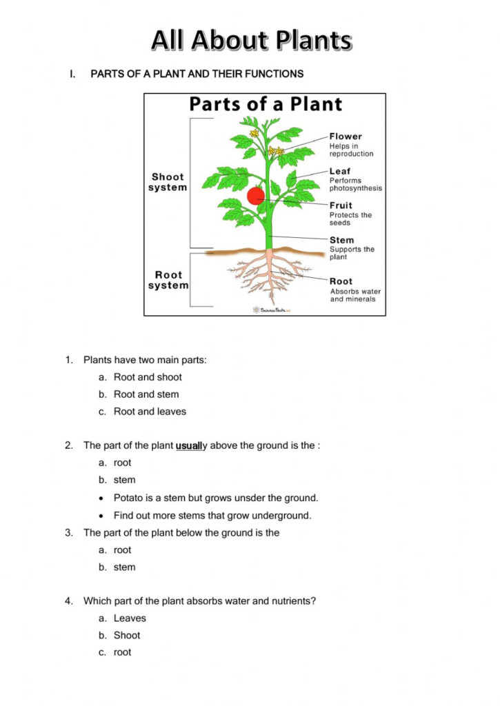 Teach Child How To Read Science Worksheets For Grade 5 Plants Genius 
