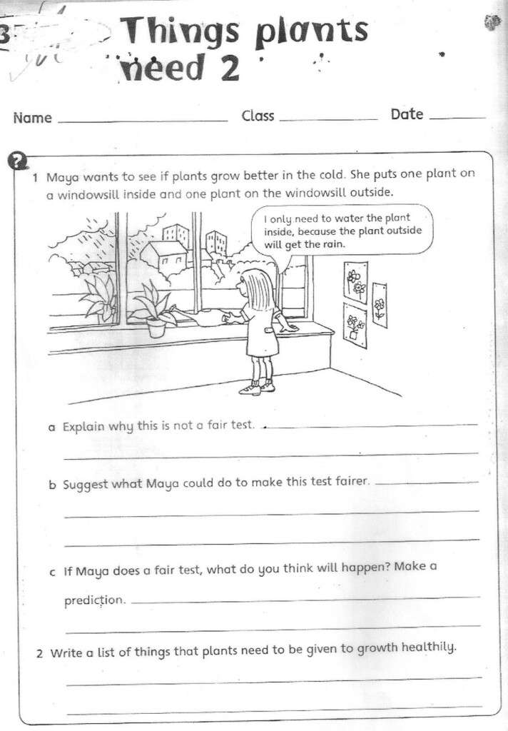 The City School Grade 3 Science Reinforcement Worksheets