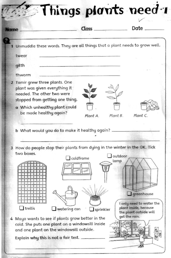 The City School Grade 3 Science Reinforcement Worksheets