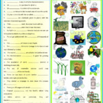 The Environment Interactive And Downloadable Worksheet Check Your