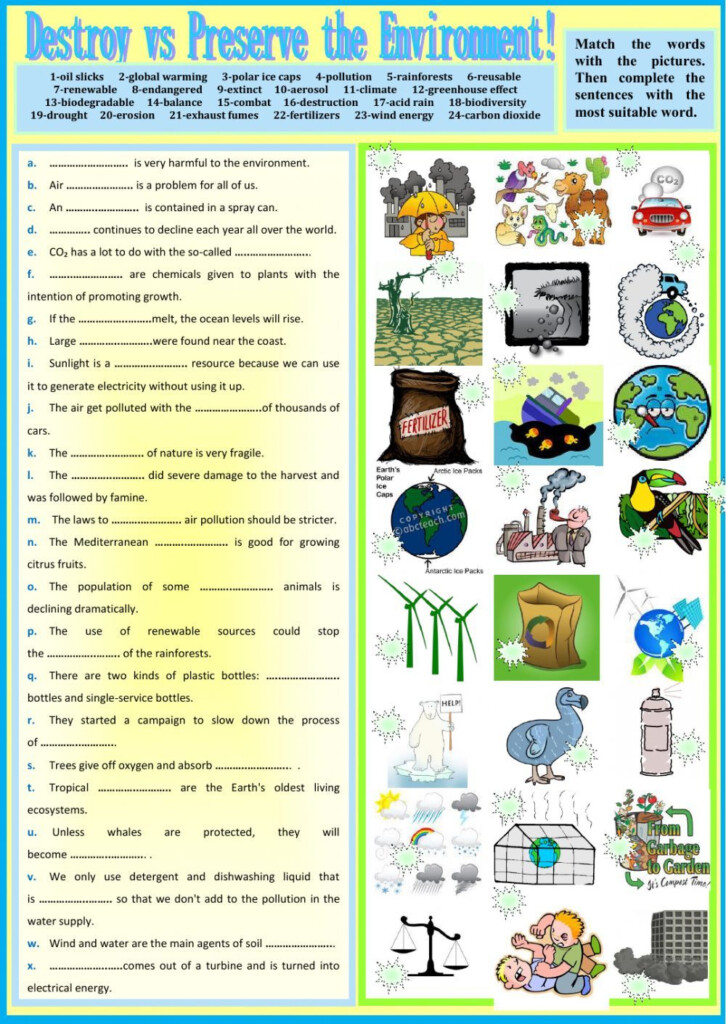 The Environment Interactive And Downloadable Worksheet Check Your 