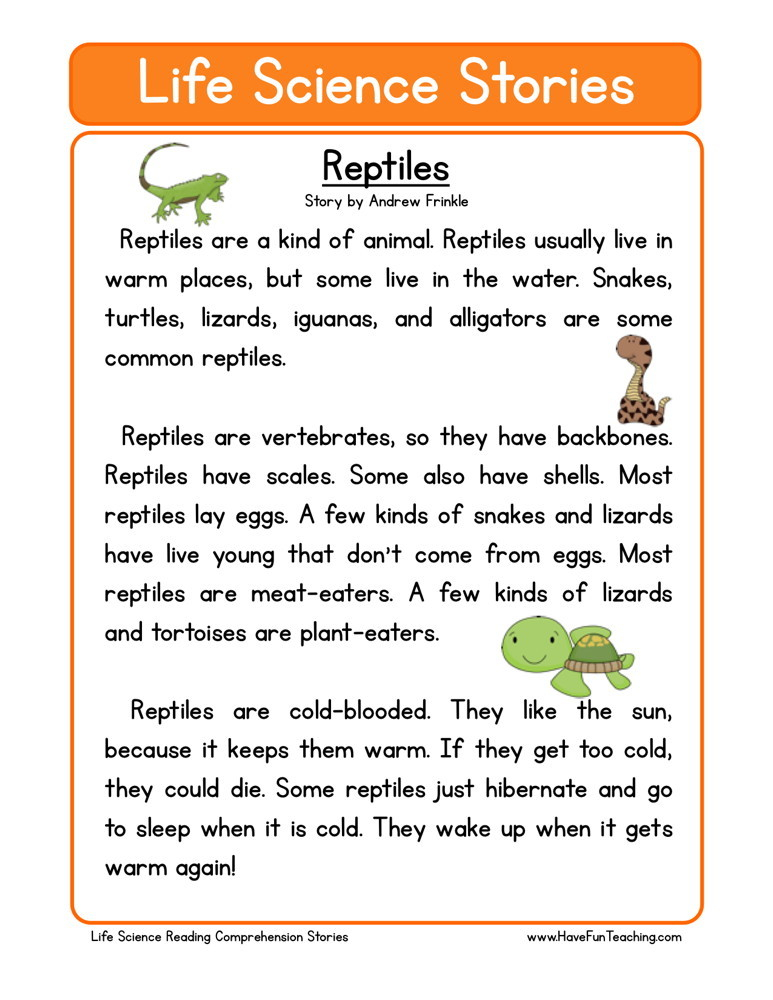 The Scientific Method 2nd Grade Reading Comprehension Worksheets