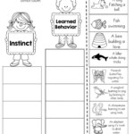 Third Grade Scientific Method Worksheet