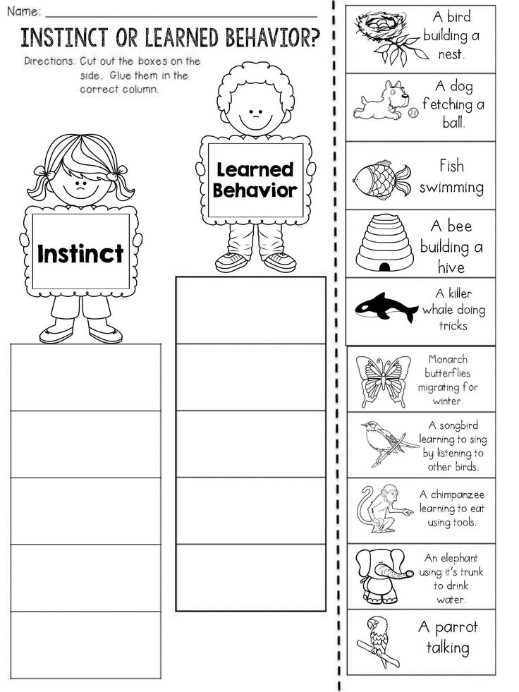 Third Grade Scientific Method Worksheet