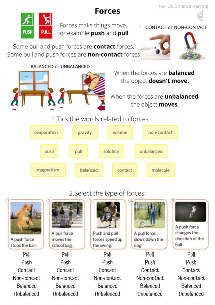 Types Of Forces Interactive Worksheet