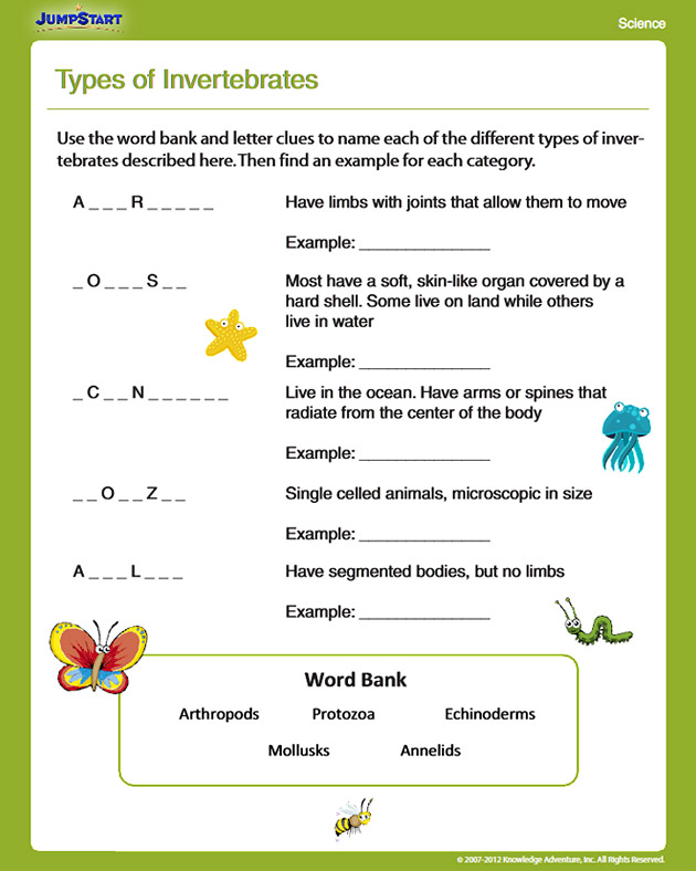 Types Of Invertebrates View Free Science Worksheet For 4th Grade 