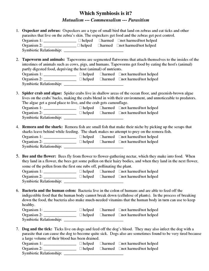 Types Of Symbiosis Worksheets