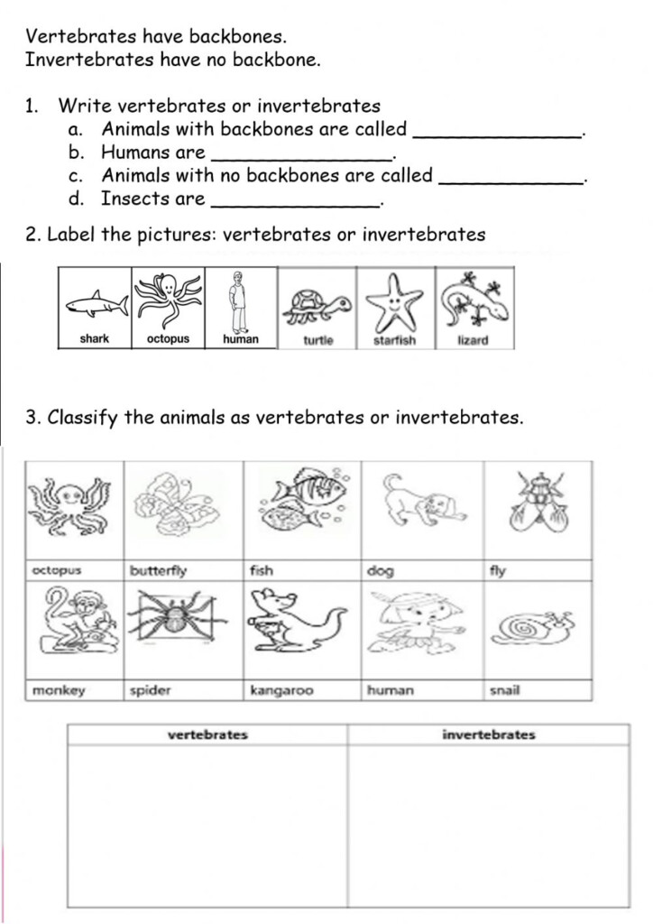 Vertebrates And Invertebrates Online Worksheet For 2nd