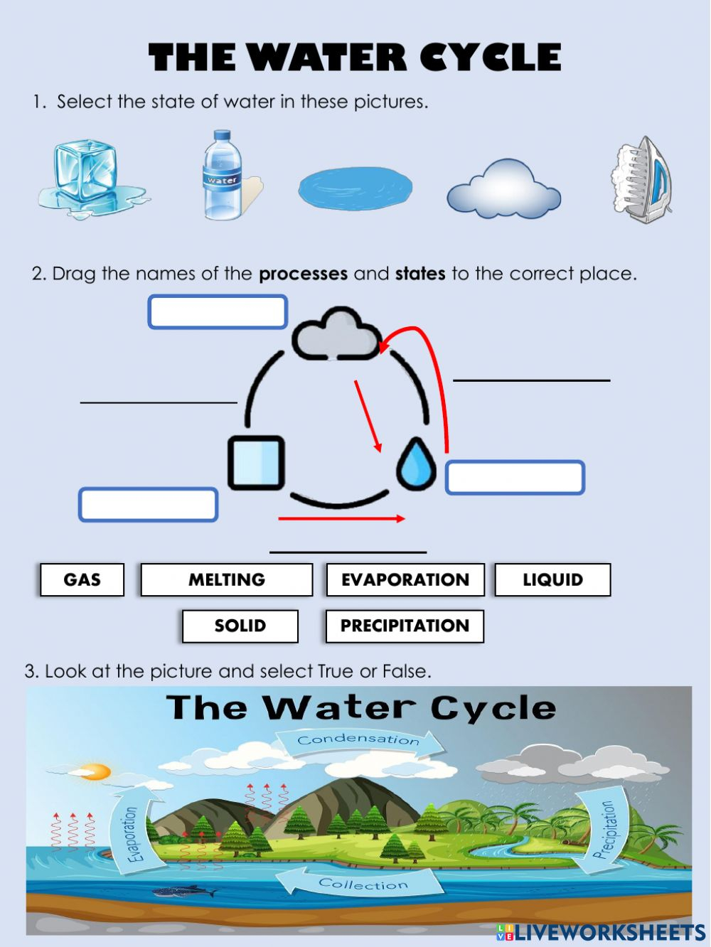 Water Cycle Online Activity For Grade 5th