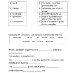 Worksheet For Grade 4 Science