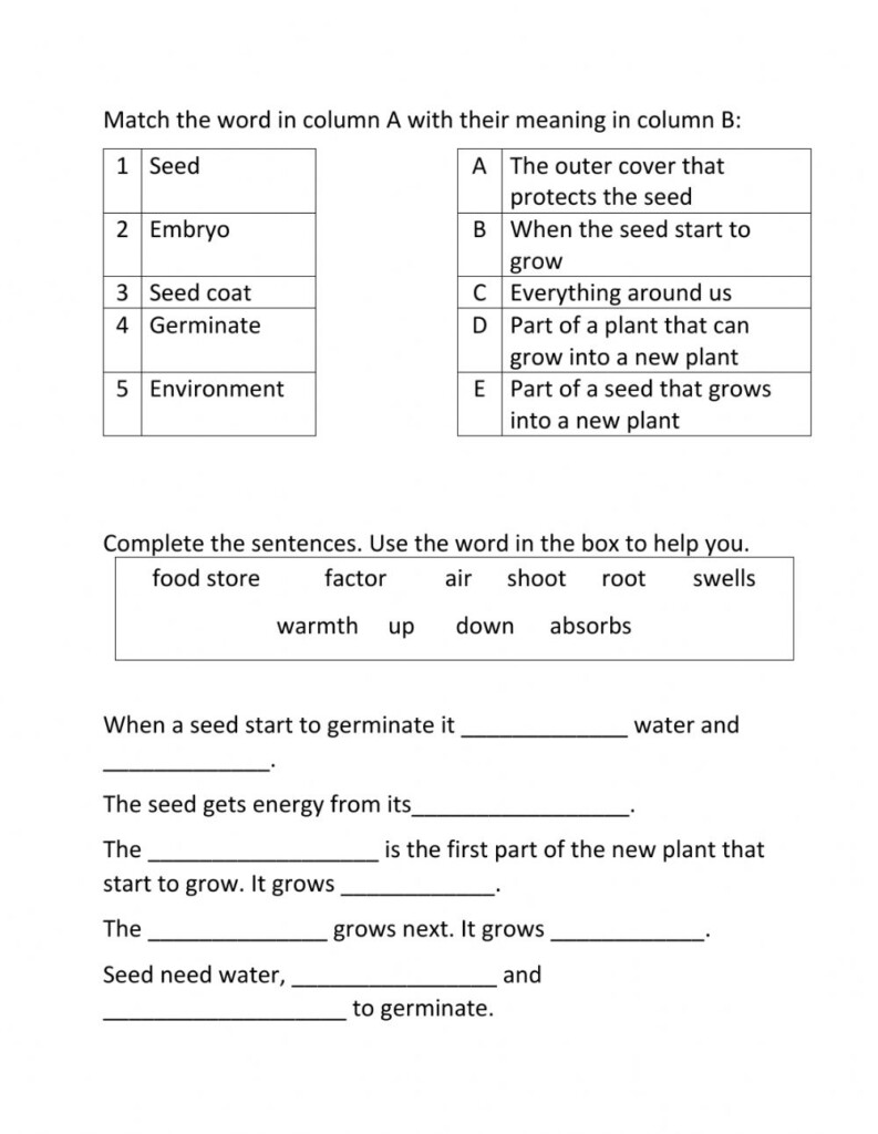 Worksheet For Grade 4 Science