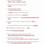 Worksheet Work And Power Problems Answer Key Words Gettrip24