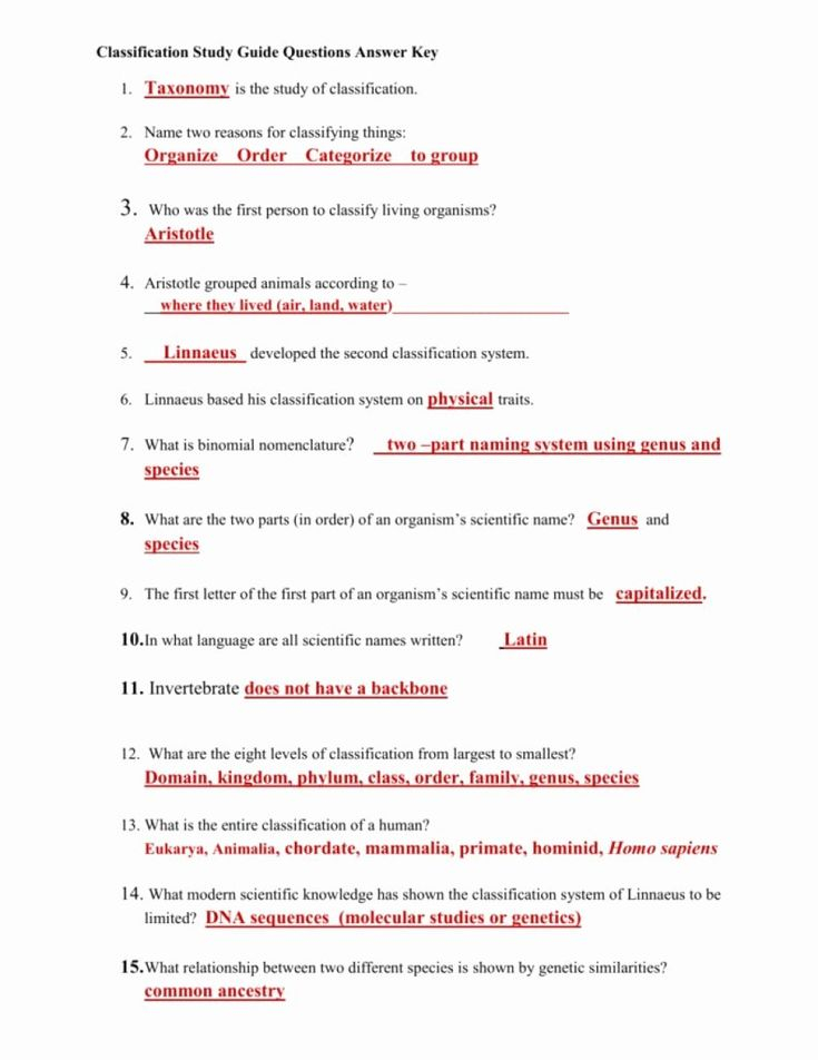 Worksheet Work And Power Problems Answer Key Words Gettrip24