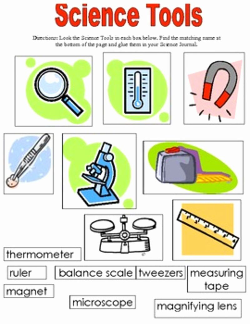 1 1 What Is Science Worksheets