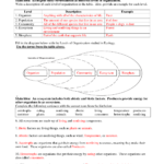 10th Grade Science Worksheets