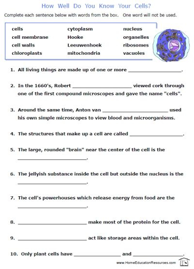 10th Grade Science Worksheets